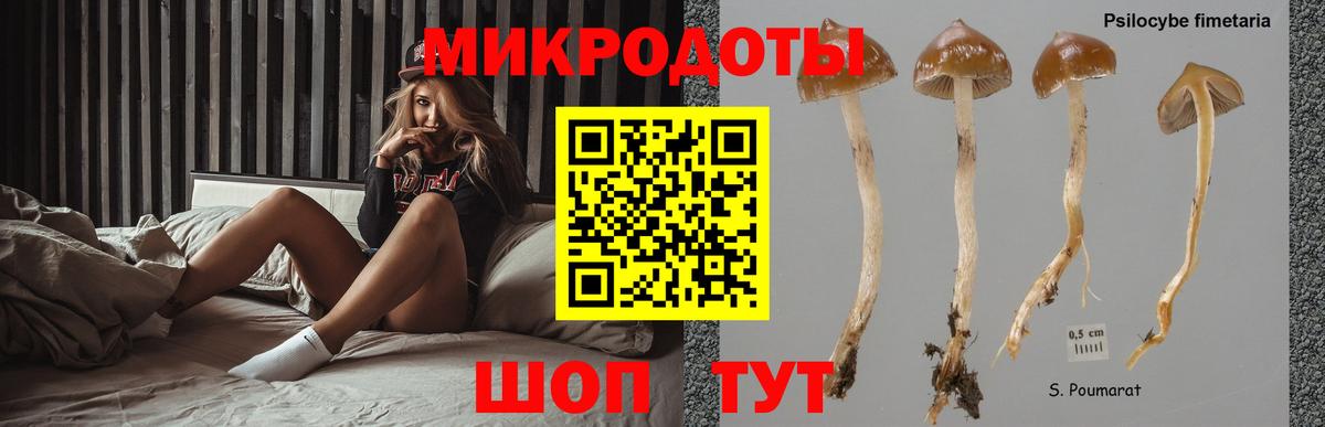 Нальчик  Псилоцибиновые грибы ЛСД  Псилоцибиновые грибы Cubensis  Вход с VPN 